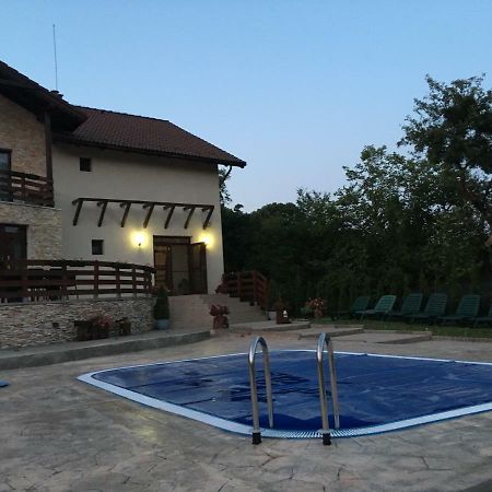 Pensiunea Casa Florela Capusu Mic Esterno foto